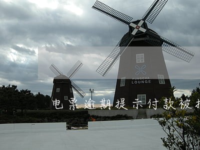 电票逾期提示付款被拒