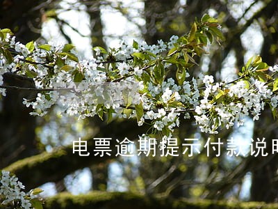 电票逾期提示付款说明写什么 电票逾期提示付款说明写什么