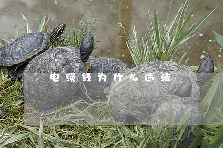 电缆线为什么违法 电缆线为什么违法
