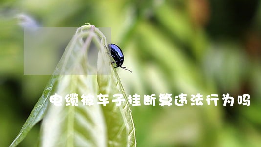 电缆被车子挂断算违法行为吗 电缆被车子挂断算违法行为吗