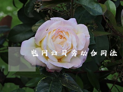电网公司劳动合同法 电网公司劳动合同法
