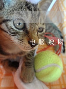 电脑按揭逾期一年 电脑按揭逾期一年
