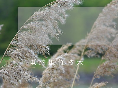 电脑维修技术 电脑维修技术