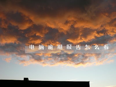电脑逾期报告怎么看