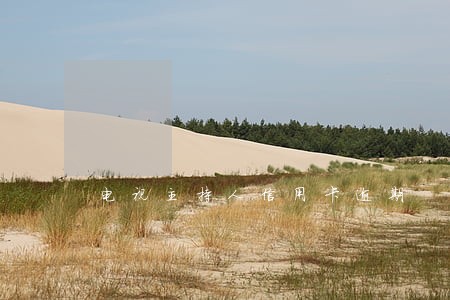 电视主持人信用卡逾期 电视主持人信用卡逾期