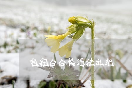 电视台台长违法乱纪 电视台台长违法乱纪