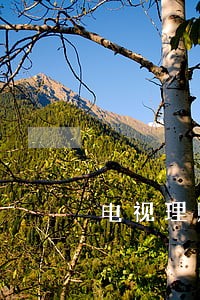 电视理财企业违法吗