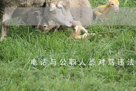 电话与公职人员对骂违法吗 电话与公职人员对骂违法吗
