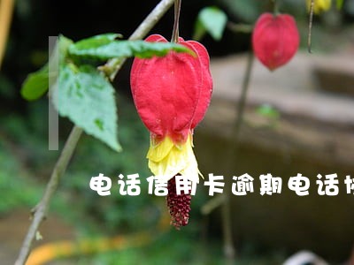 电话信用卡逾期电话协商后 电话信用卡逾期电话协商后