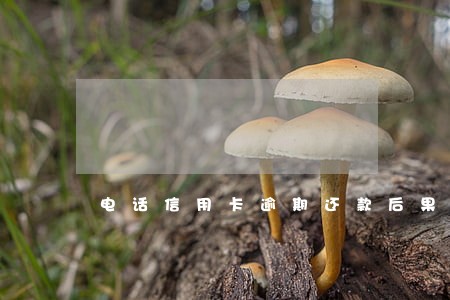 电话信用卡逾期还款后果 电话信用卡逾期还款后果