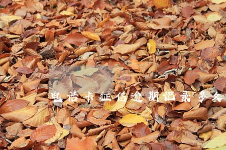 电话卡征信逾期记录多久消除