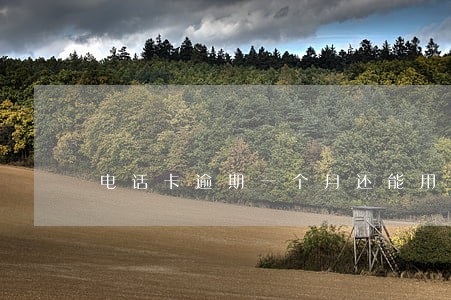 电话卡逾期一个月还能用吧 电话卡逾期一个月还能用吧