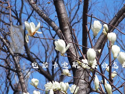 电话卡逾期不交会怎么样 电话卡逾期不交会怎么样