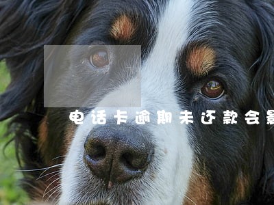 电话卡逾期未还款会影响征信吗 电话卡逾期未还款会影响征信吗