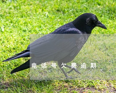 电话号欠费逾期 电话号欠费逾期