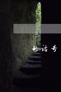 电话号码上个机主借款逾期 电话号码上个机主借款逾期