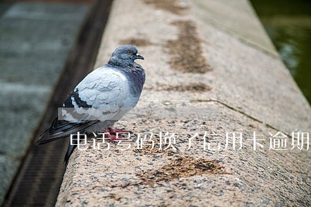 电话号码换了信用卡逾期征信