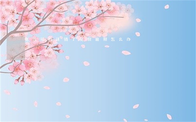 电话号码注销了花呗逾期怎么办 电话号码注销了花呗逾期怎么办