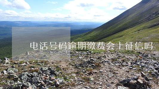 电话号码逾期缴费会上征信吗 电话号码逾期缴费会上征信吗