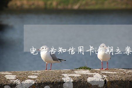 电话告知信用卡逾期立案处理 电话告知信用卡逾期立案处理
