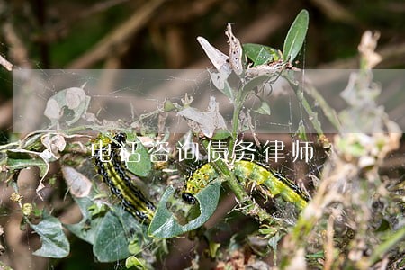 电话咨询债务律师 电话咨询债务律师