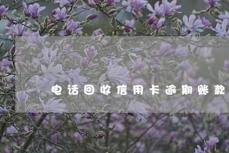 电话回收信用卡逾期账款怎么说 电话回收信用卡逾期账款怎么说