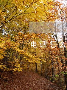电话怎么查逾期 电话怎么查逾期