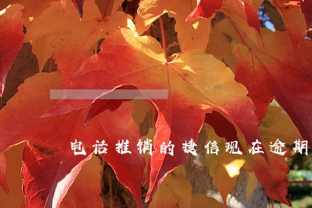 电话推销的捷信现在逾期 电话推销的捷信现在逾期