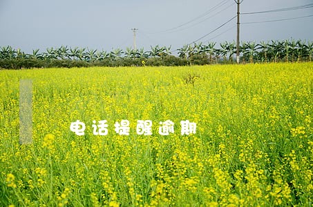 电话提醒逾期 电话提醒逾期