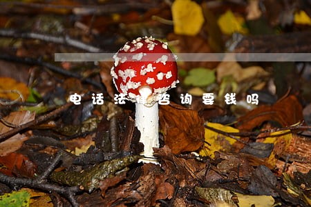电话法律咨询要钱吗 电话法律咨询要钱吗
