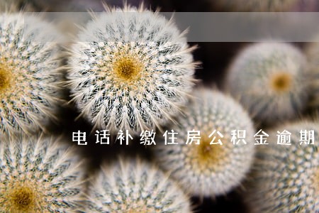 电话补缴住房公积金逾期还款 电话补缴住房公积金逾期还款