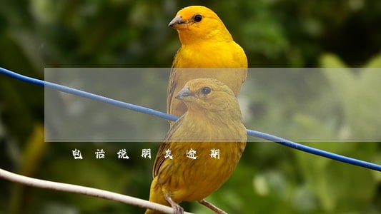 电话说朋友逾期 电话说朋友逾期