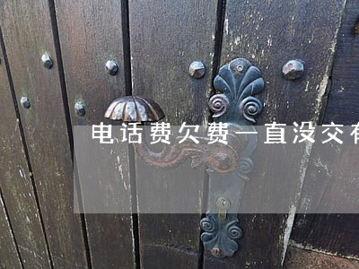 电话费欠费一直没交有逾期了 电话费欠费一直没交有逾期了