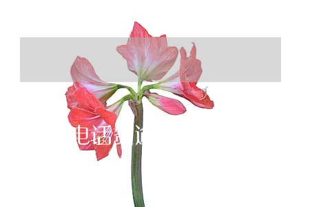 电话费逾期1年会影响征信吗 电话费逾期1年会影响征信吗