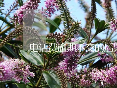 电话费逾期不交的后果 电话费逾期不交的后果