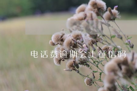 电话费逾期会上征信吗 电话费逾期会上征信吗