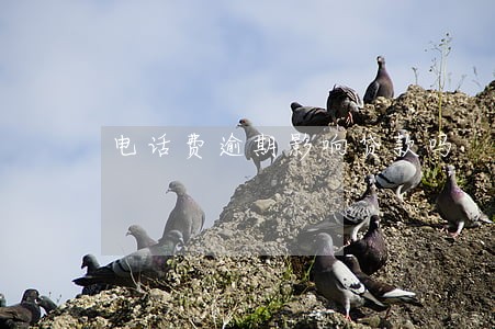 电话费逾期影响贷款吗 电话费逾期影响贷款吗