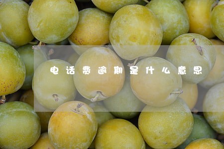 电话费逾期是什么意思 电话费逾期是什么意思