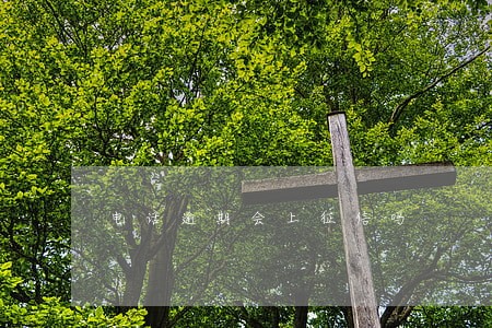电话逾期会上征信吗 电话逾期会上征信吗