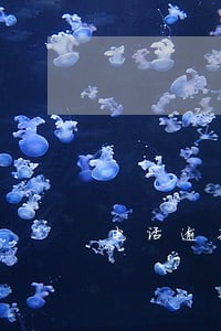 电话逾期催收话术 电话逾期催收话术