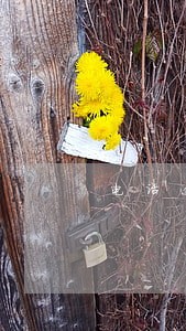 电话逾期怎么办 电话逾期怎么办