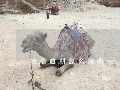 电话逾期怎么接听 电话逾期怎么接听