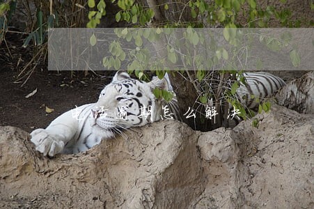 电话逾期怎么解决 电话逾期怎么解决