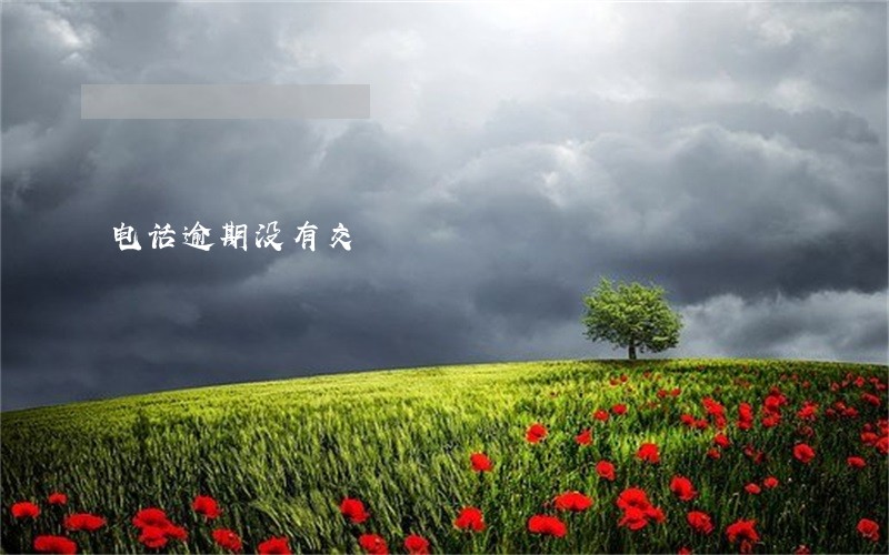 电话逾期没有交 电话逾期没有交