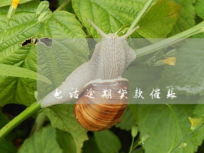 电话逾期贷款催账 电话逾期贷款催账