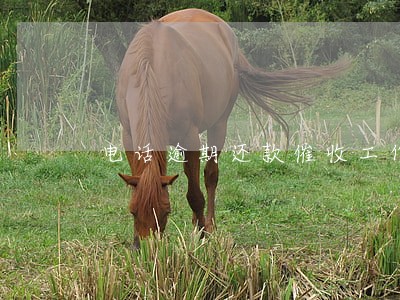 电话逾期还款催收工作总结 电话逾期还款催收工作总结