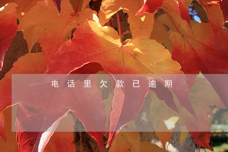 电话里欠款已逾期 电话里欠款已逾期