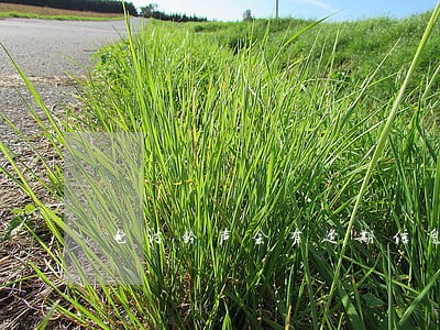 电话钤声会有逾期信息 电话钤声会有逾期信息