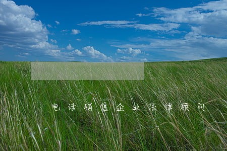 电话销售企业法律顾问 电话销售企业法律顾问