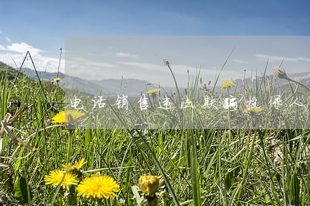 电话销售违法欺骗投保人 电话销售违法欺骗投保人